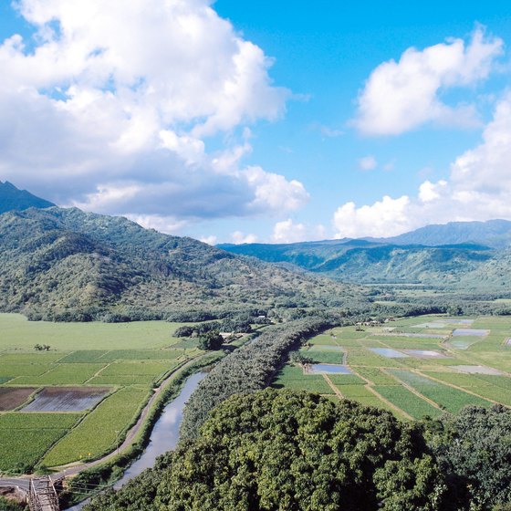 Kauai's mountainous terrain provides breathtaking natural vistas to explore with your family.