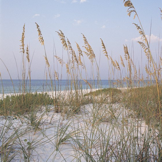 Pensacola's beaches are pleasantly uncrowded on Tuesdays.
