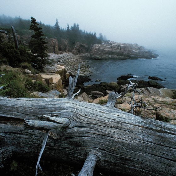 Mist and fog along the shore can make un-guided kayaking dangerous.