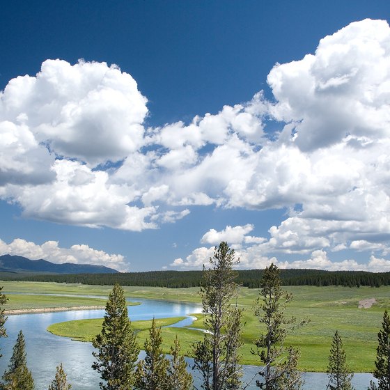 Yellowstone Park is busiest during the summer months.