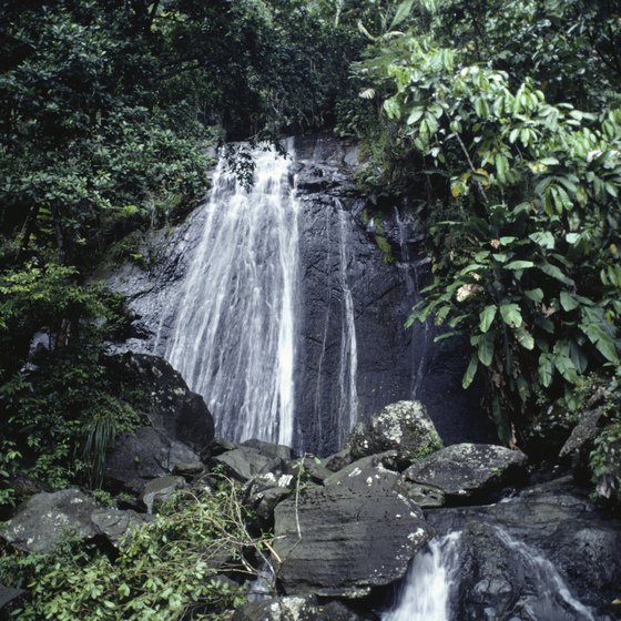 One of El Yunque's many waterfalls.