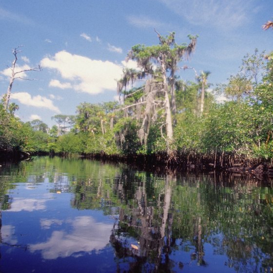 Jupiter is home to rivers, which are frequented by kayakers and fishermen.