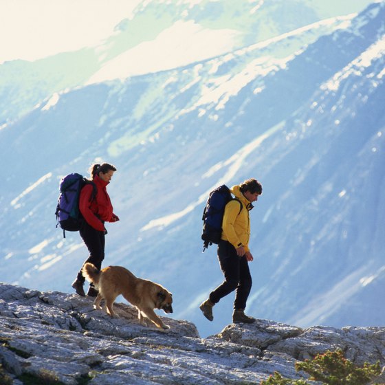 Bring your pooch to experience Canada's grandeur.