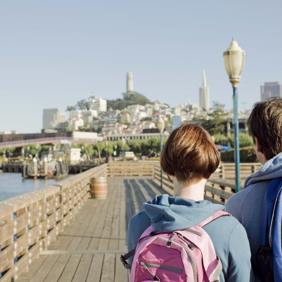 Pier 39's most popular residents have a well-honed sense of audience.