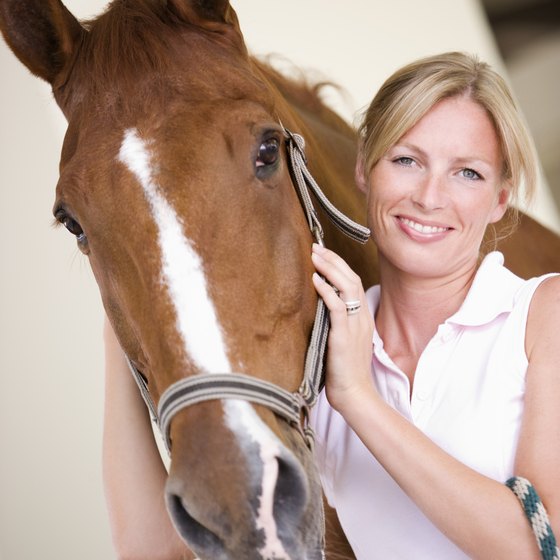Like the rest of Ontario, the southern region is known for equestrian recreation opportunities.