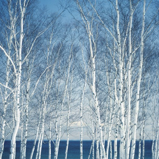 Duluth Minnesota Winter