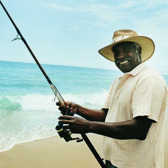 Southern Florida surf fishermen catch a wide range of saltwater game fish.