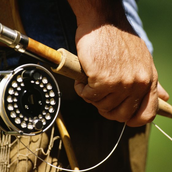 The Androscoggin River is a top fly-fishing destination for trout.