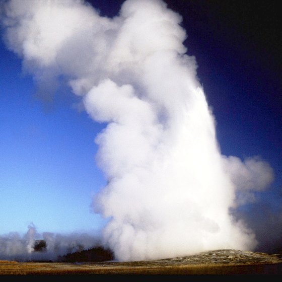 Park rangers predict eruption times for a small number of Yellowstone's geysers, including Old Faithful.