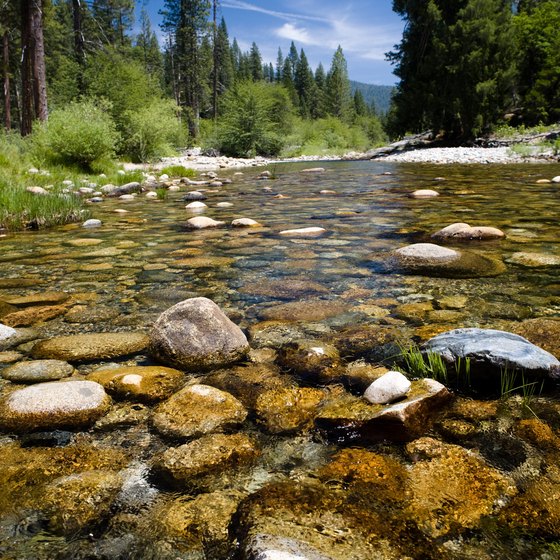 Discover clear water streams in Yosemite National Park.