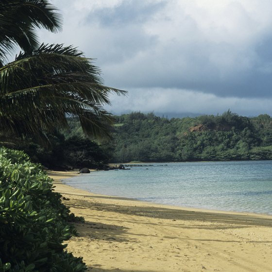 Kauai is the northern-most of the Hawaiian Islands.