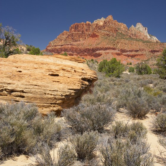Zion National Park is located in southwestern Utah.