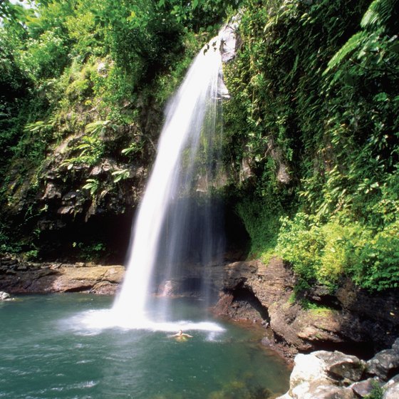 Waterfall lagoons, caves and mud pools are hidden in Fiji's lush interior.