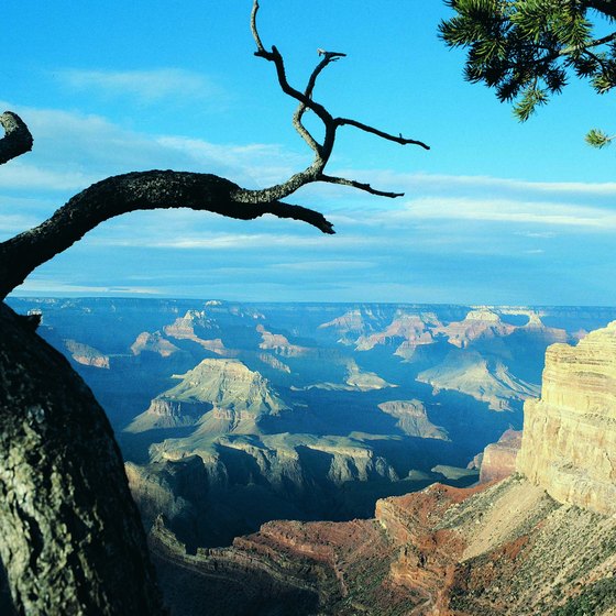 The South Rim offers excellent views of the Grand Canyon.