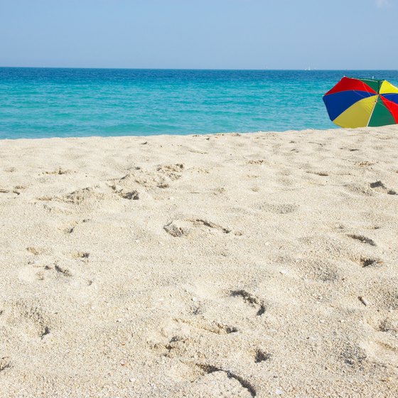 Florida beaches offer sun and warmth, even in the dead of winter.