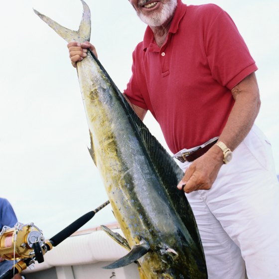 Tuna is one of Antigua's most commonly caught sport fish.