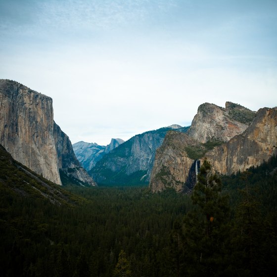 Stark cliff faces surround valleys in Yosemite National Park.