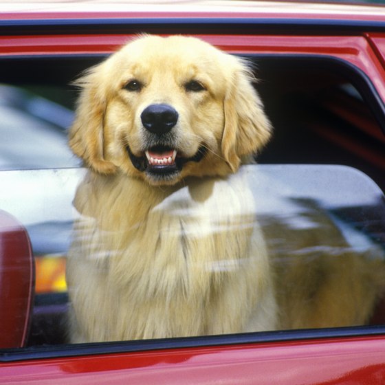 Traveling with your pet can be trouble-free.