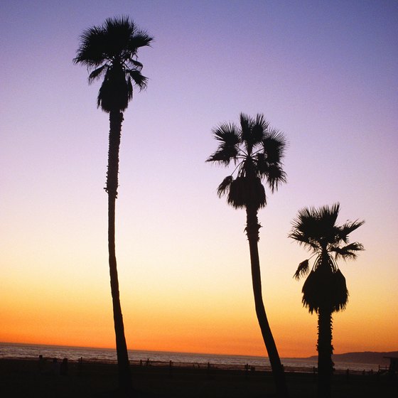 Venice, California, beaches offer magnificent backdrops for summer weddings.