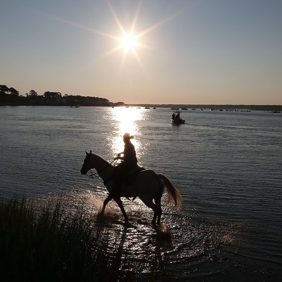 Assateague Island is known for its wild ponies.