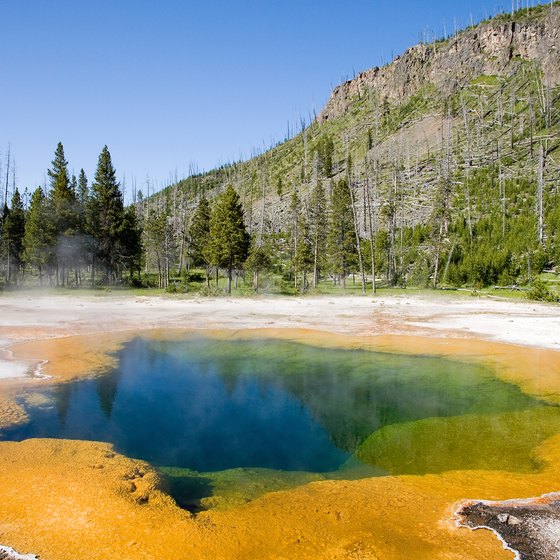 Where Are the Closest Airports to Yellowstone Park?