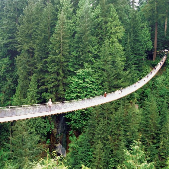 The Capilano Suspension Bridge spans a river in the Canadian rain forest.