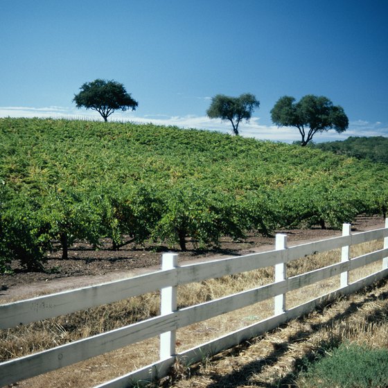 Napa is just one choice for those looking for romance.