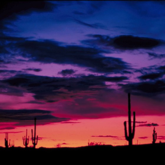 Ajo, Arizona is in the Sonoran Desert.