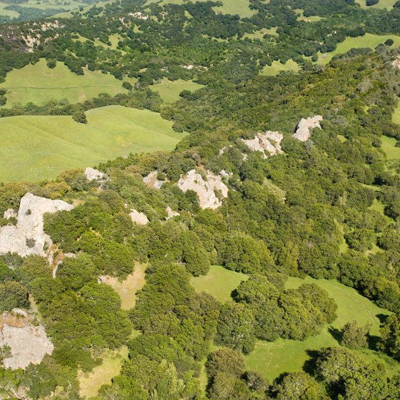 Aerial view of Mount Diablo State Park