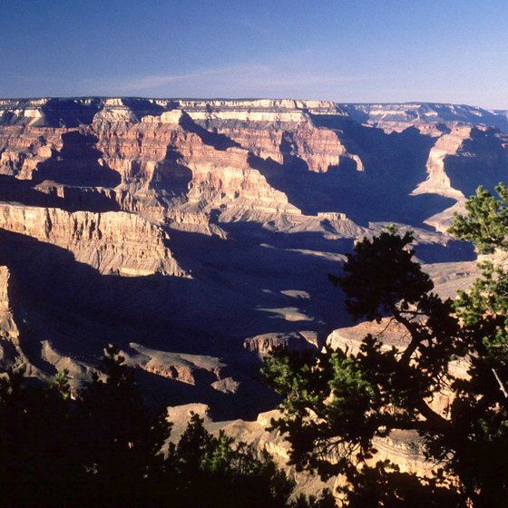The Grand Canyon area provides several resources for horseback riding.