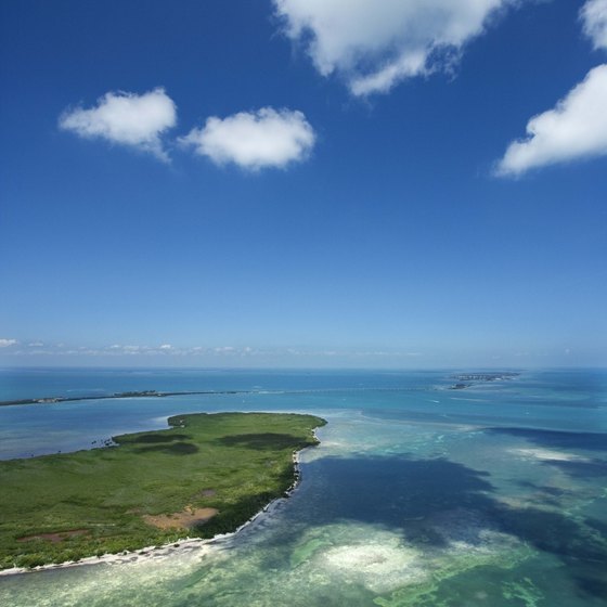 Molasses Reef sits off the Florida Keys.