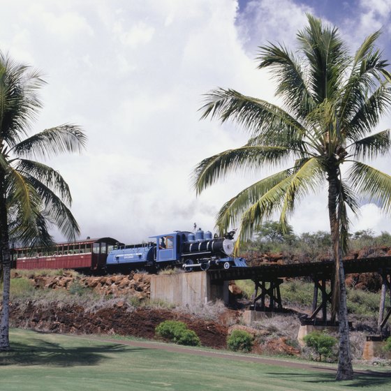 Take the Sugar Cane train to discover Lahaina's plantation past.