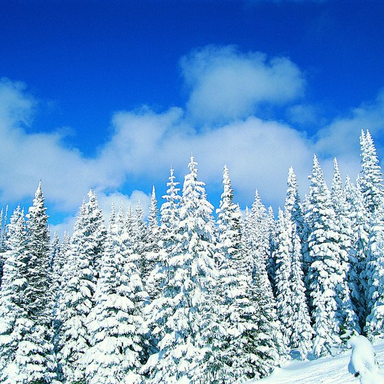 Enjoy winter scenery hiking in Steamboat Springs.