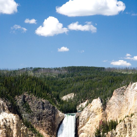 Yellowstone National Park is well within a 300-mile radius of Thermopolis.