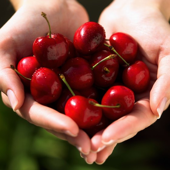 Michigan's National Cherry Festival takes place in June and July.