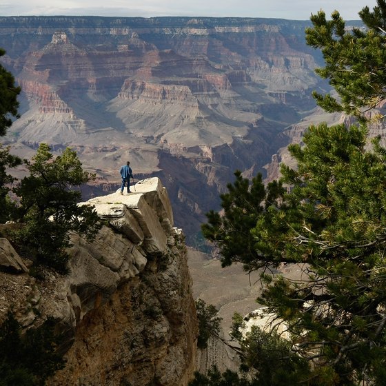 Jeep and safari tours allow an up-close experience of the Grand Canyon.