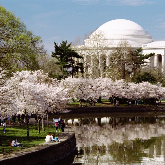 The annual Cherry Blossom Festival at the Jefferson Memorial's Tidal Basin.