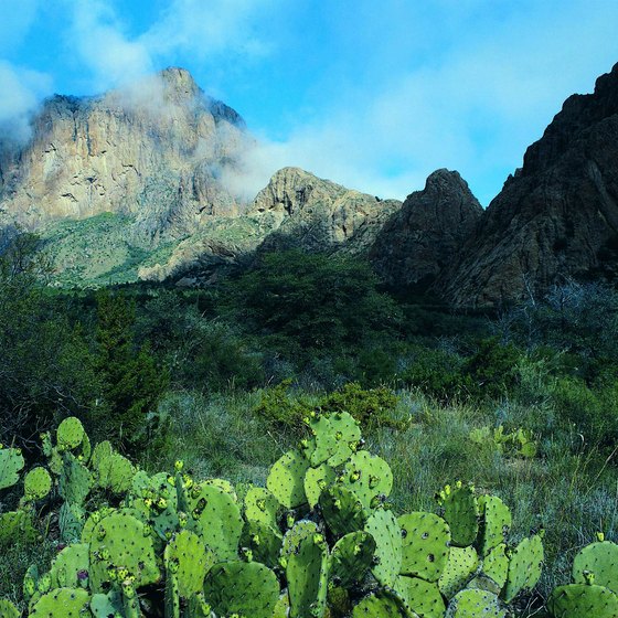 Valleys and Deserts in Texas | USA Today