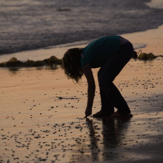 A silhouette of a child picking up shells at San Diego's Ocean Beach makes a nice vacation photo.
