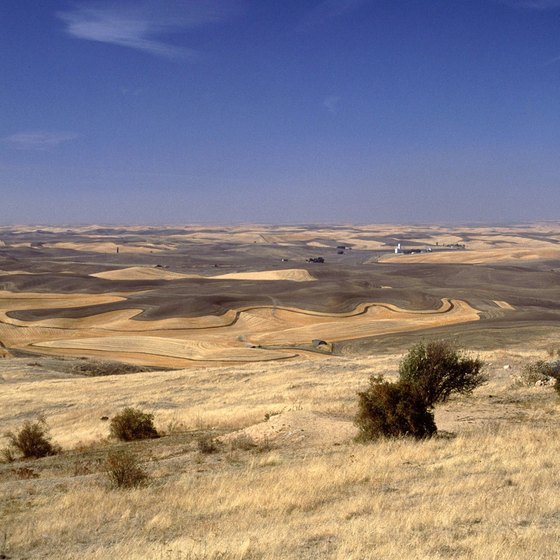 Washington's Columbia Plateau includes both sensual hills and tortured rock formations.