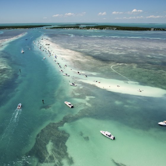 Key Largo is surrounded by coral barrier reefs teeming with tropical fish.