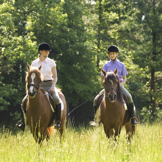 The village of Wauconda, in Lake County, Illinois, offers many trails and stables to accommodate equestrians and their horses.