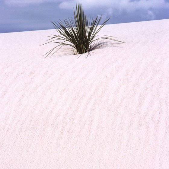 Blue skies and white sand are available all year at White Sands National Park in Alamogordo, New Mexico