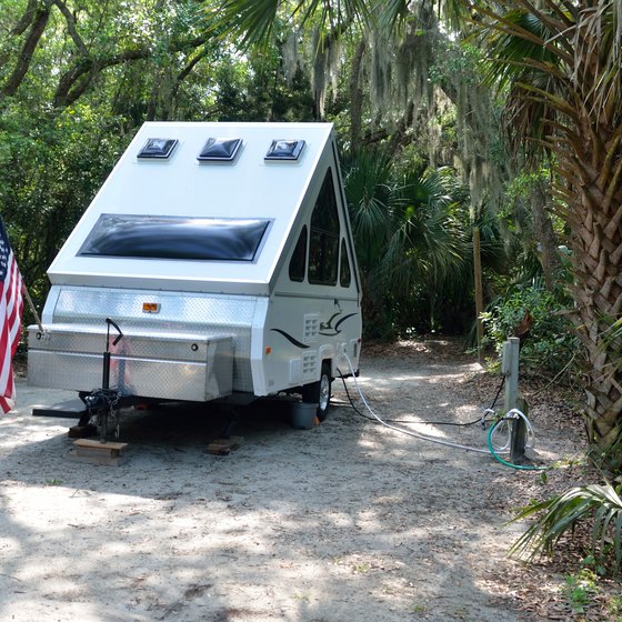 Camping With Pets In Ocala Florida