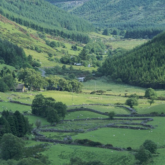 Explore the natural landscapes of the Wicklow mountains.