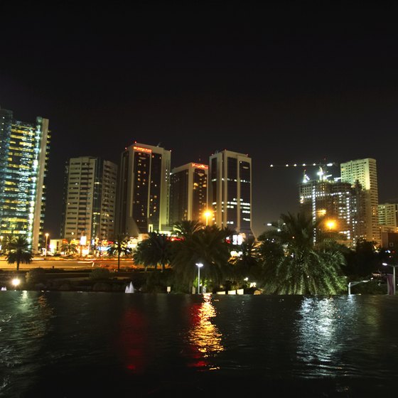 Dubai Creek is home to wetlands as well as sprawling development.