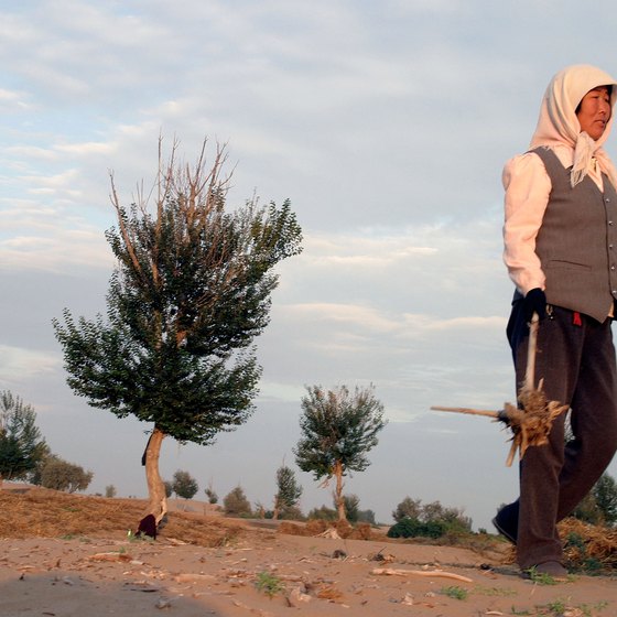 The Chinese government is working to reforest the edges of the Gobi desert to prevent its spread into surrounding villages.