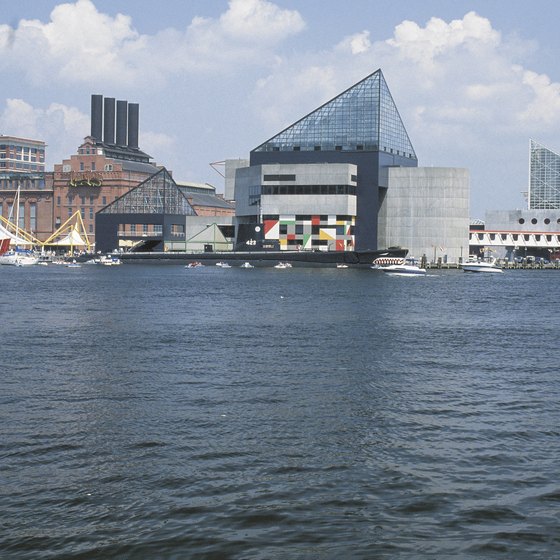 View of Baltimore From the Harbor