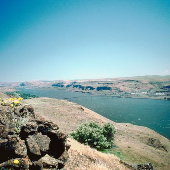 The Columbia River is a scenic backdrop for a wedding.