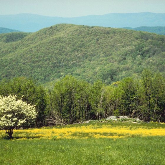 The Highest Mountains in Virginians appear blue in the distance.